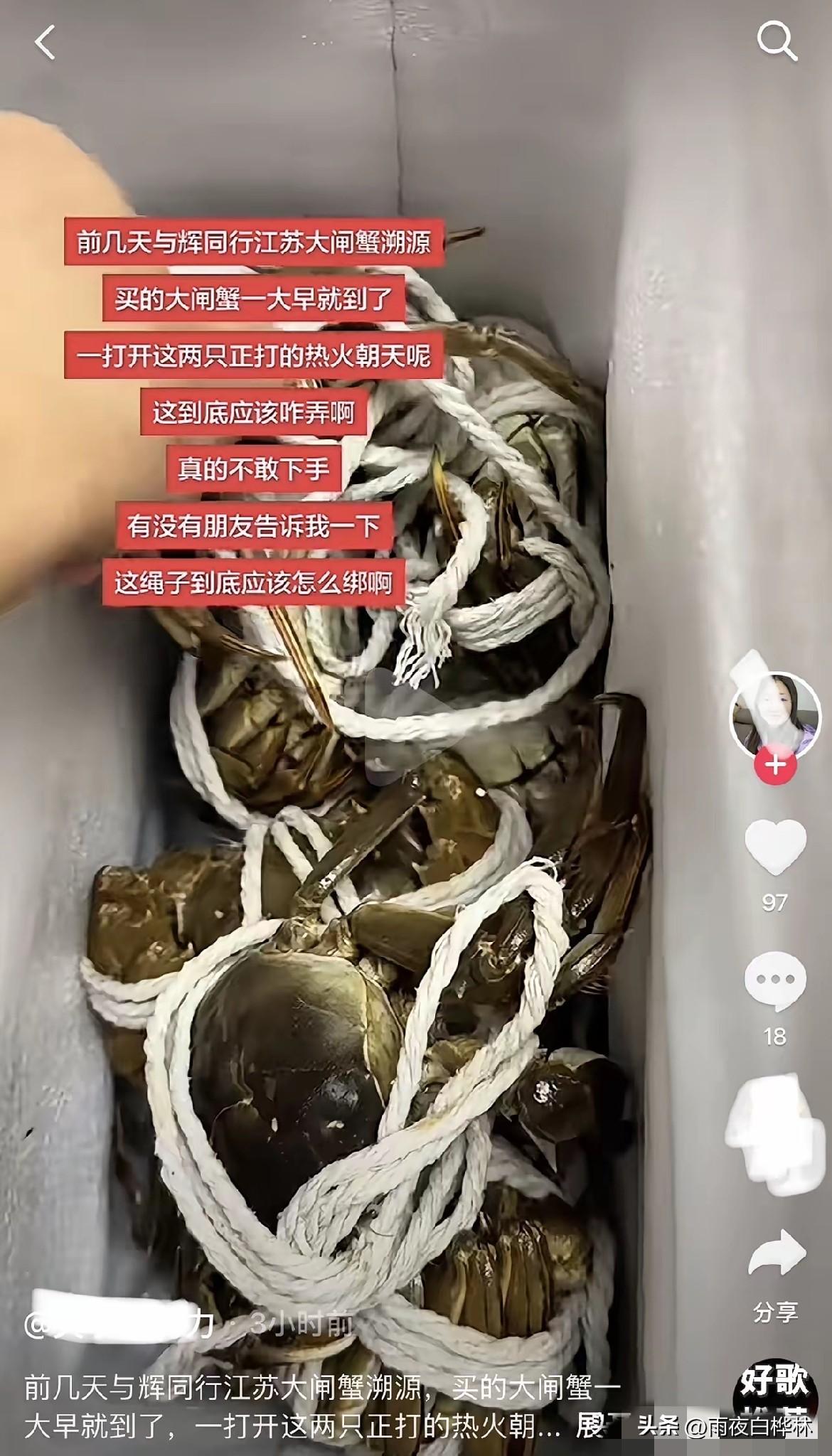 -还是网友看得透。
有人问：绑腿的绳子松了，到底是谁没绑紧？
网友：因为这是两只