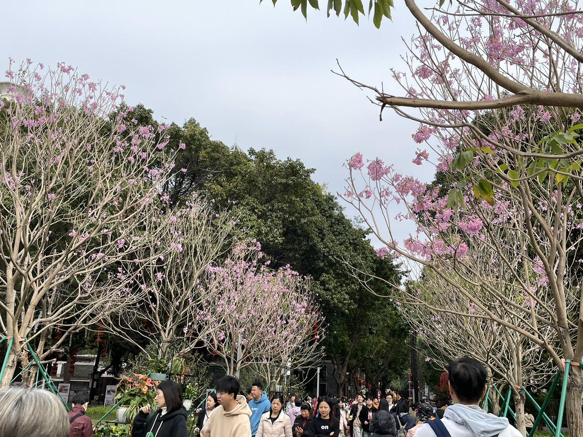 我的今日状态：😁轻松愉快
我这里的天气：🌧下雨