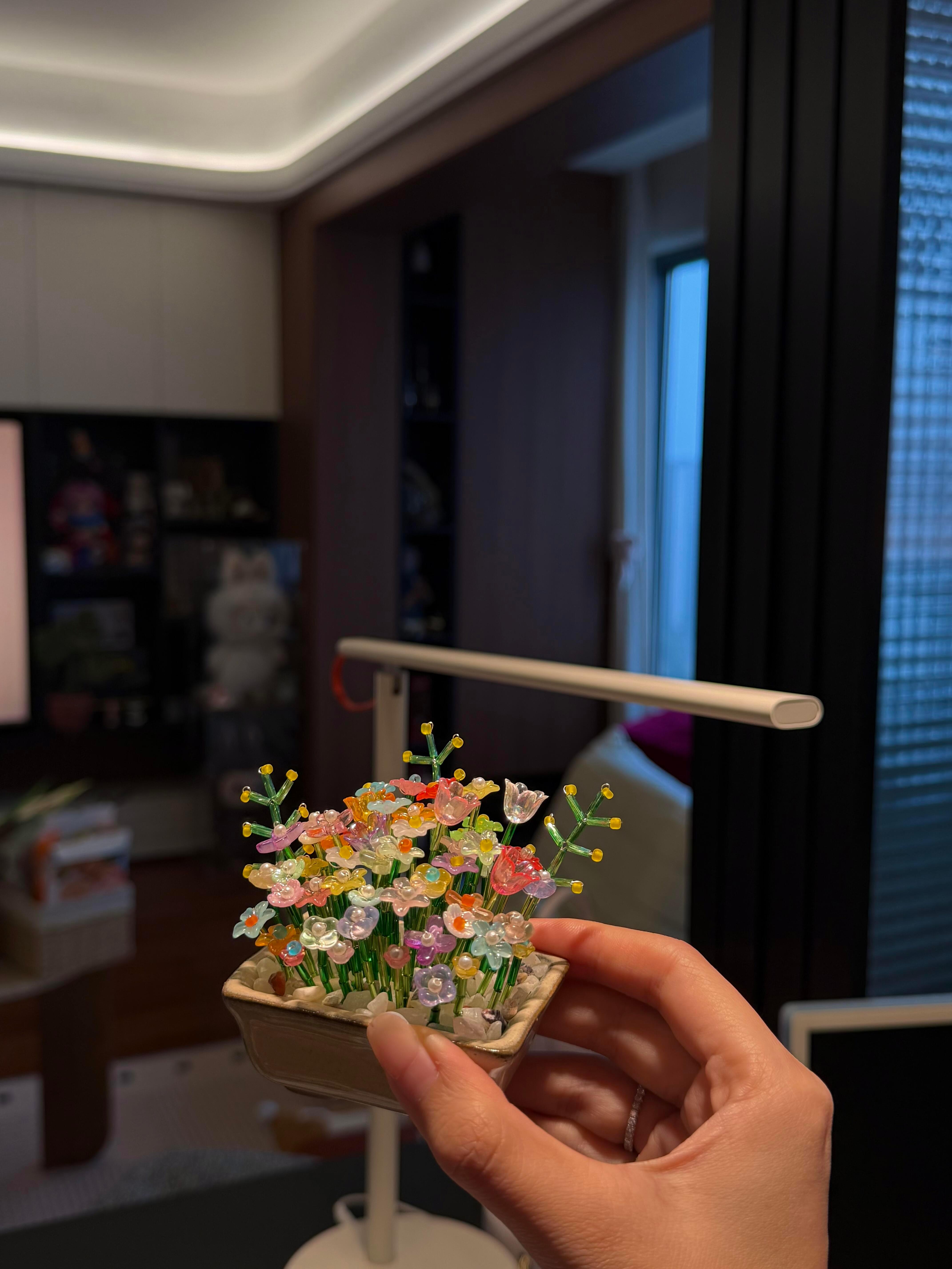 闪闪发光的串珠盆栽 