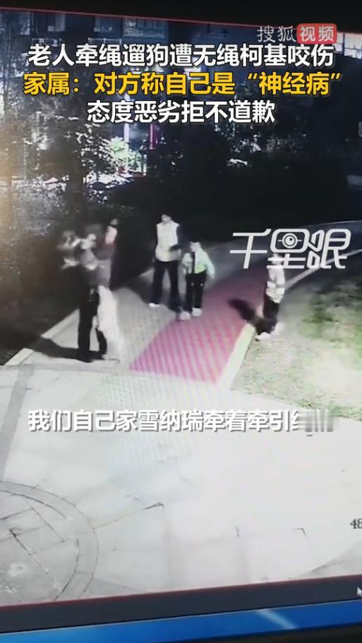 “必须严惩！”11月10日，河南郑州，一老人在小区遛狗时，被一条未拴绳的狗咬伤了