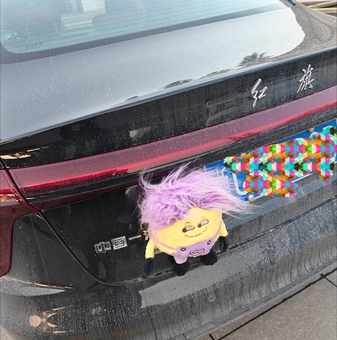 天气太冷了，风又大，小可爱头发都吹成“刀锋”了