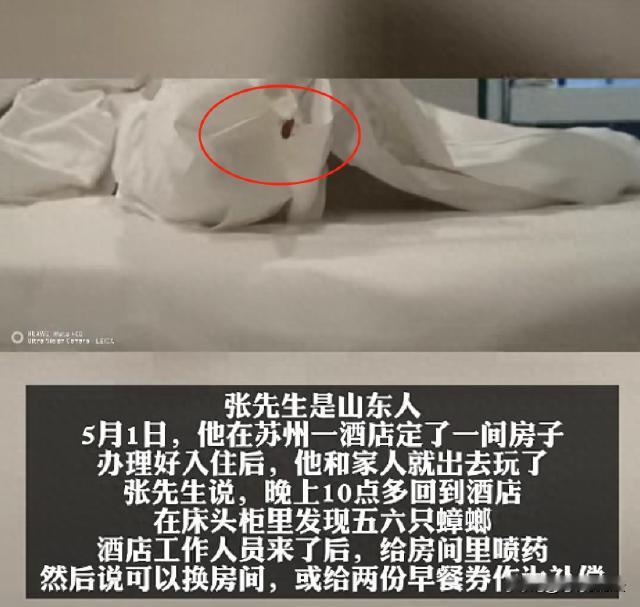 苏州，男子入住了一家酒店，收拾一番后准备睡觉，没想到夜里竟然被房间里“细细簌簌”