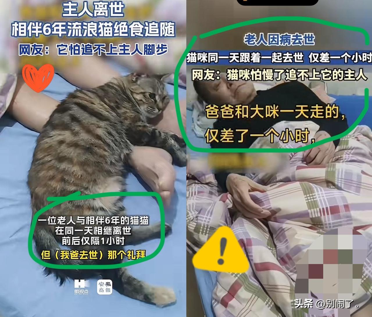 这真是玄学了
山东烟台这事儿，老人刚走不到一小时，养了六年的猫也跟着去了，更怪的