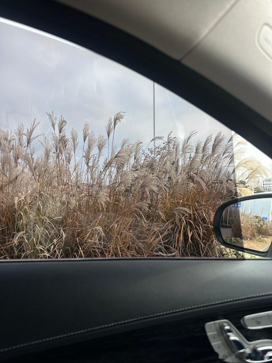 想出来溜达一下，寒风瑟瑟 