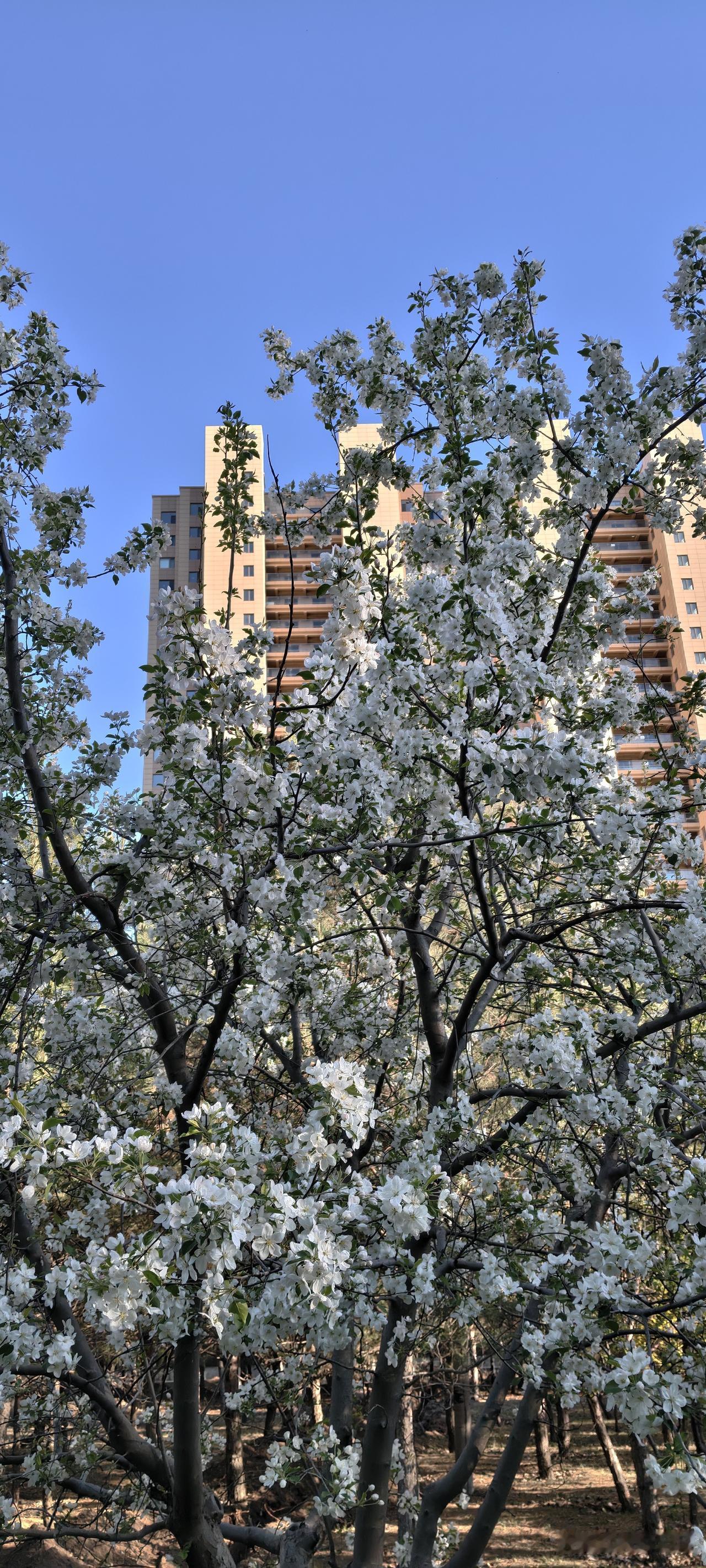 为我的真诚创作点赞！ 👍❤️🔥你也快来发布一条吧！带?