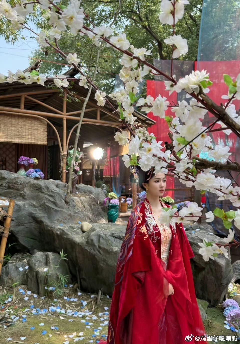 #白鹿白月梵星番外婚服路透#[哇]哇偶，红衣果然是鹿鹿的统治区，鹿鹿这次红衣又美