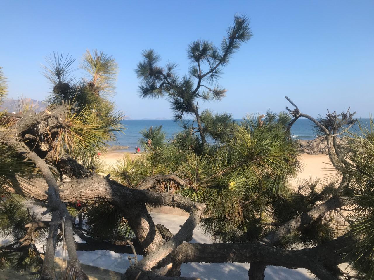 无限春风来海上｜今日立春
万物启新，万象更新。