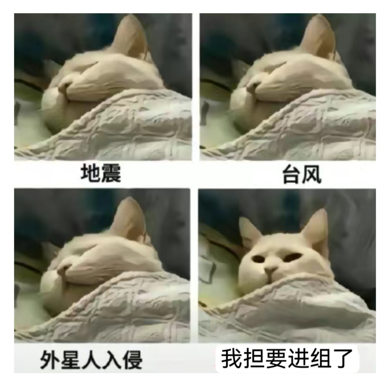 翻相册看到22年存的一个表情包，哈哈哈适用于枯水期的我belike ​​​