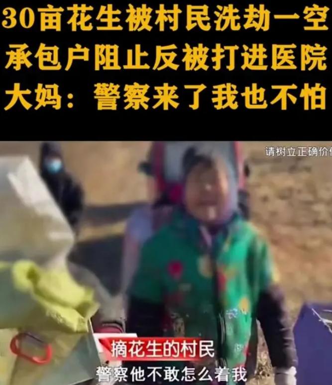真不是人！河北，廊坊一位男子，包下了某县镇的30亩农田，用来种花生，迟迟不见成熟