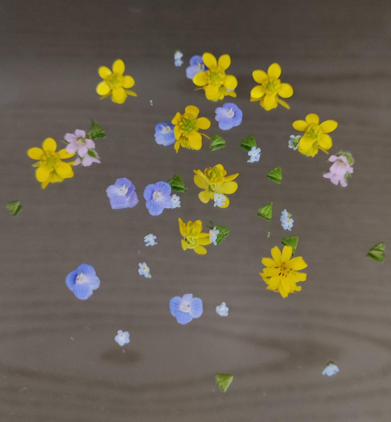 人生本过客，得失皆随缘。你怎么看人生本是过客，不必执着于一时得失，这是清醒；但随