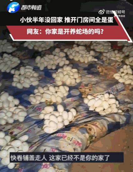 看着就让人头皮发麻！6月12日江西，一小伙出门打工半年，日思夜想终于回到家，推开