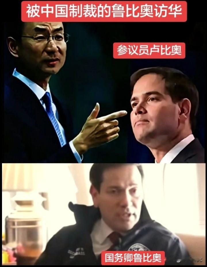此鲁比奥非彼卢比奥，借用鲁迅先生的口吻可以这么讲：
 
大抵世上本就有两个鲁比奥