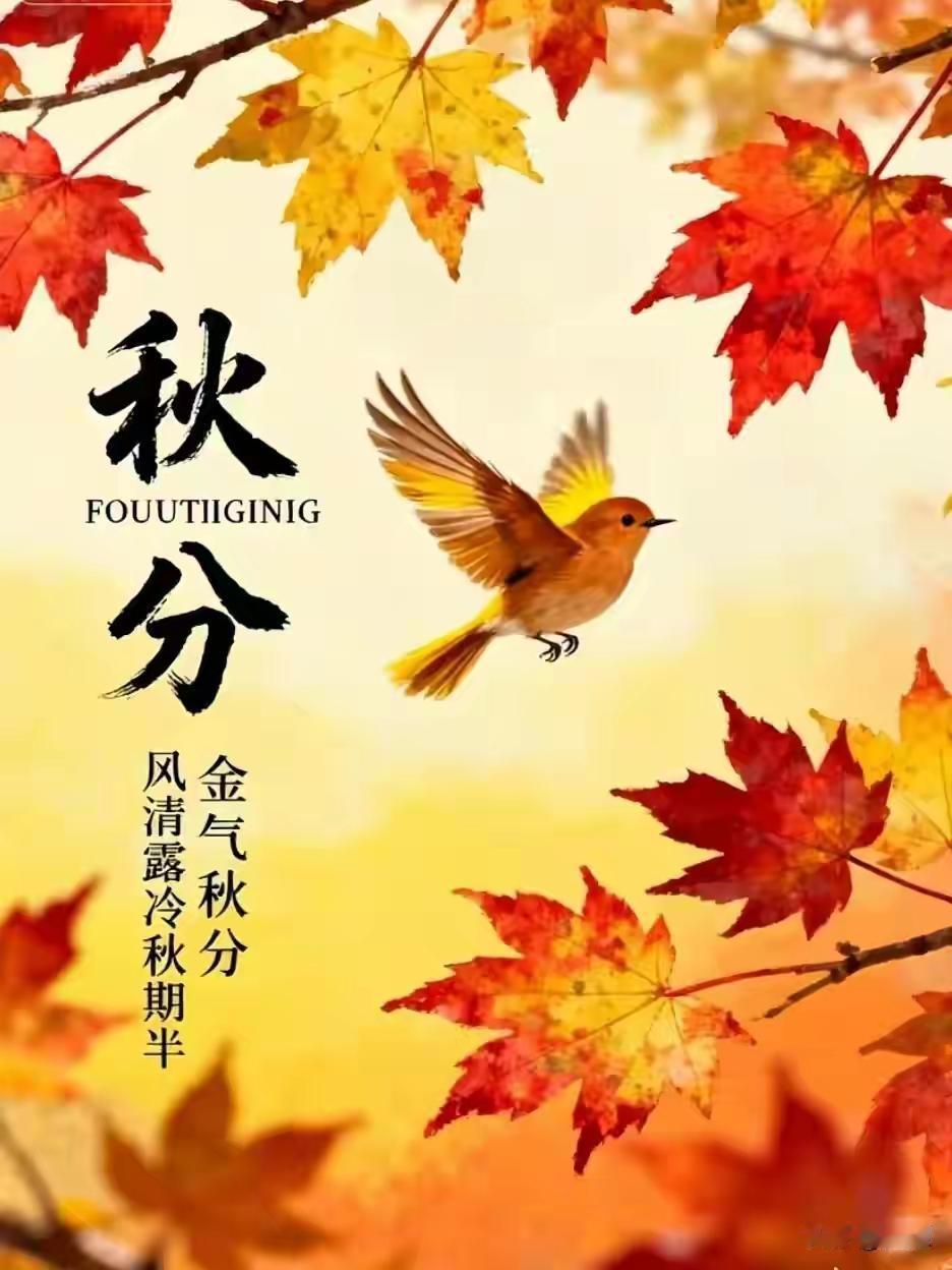 秋分早安祝福！！秋天一来，树叶变红的景象太迷人了。北京香山的元宝槭和黄栌，红得醉