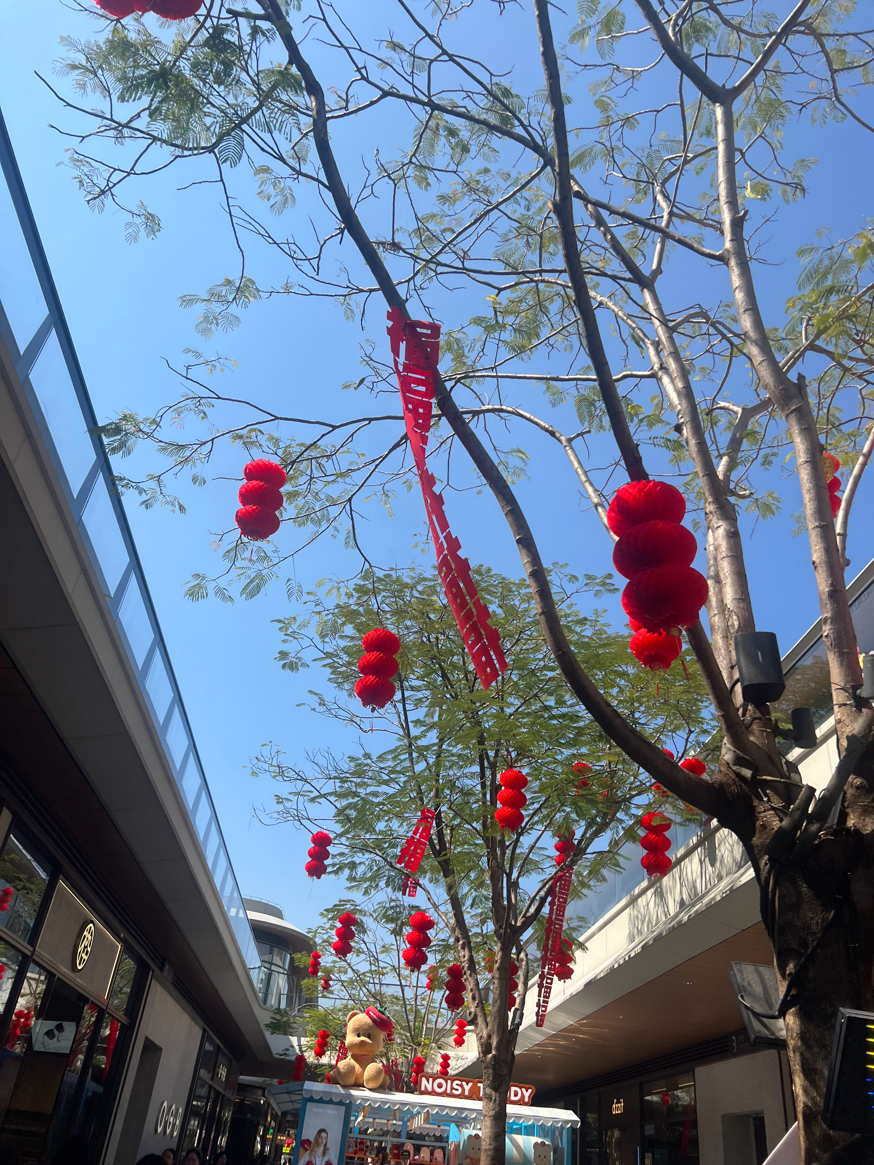 停止抱怨，是修行开始   懂得反思，是修行根本   懂得转念，是修行诀窍   不