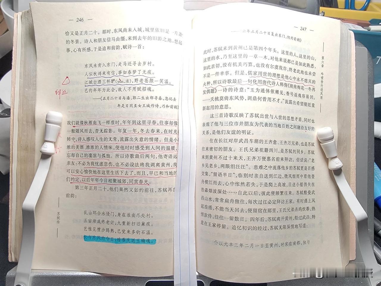 今日晚餐后读《苏轼传》50页，得苏轼一好句，爱死了：
“长与东风约今日，
暗香先