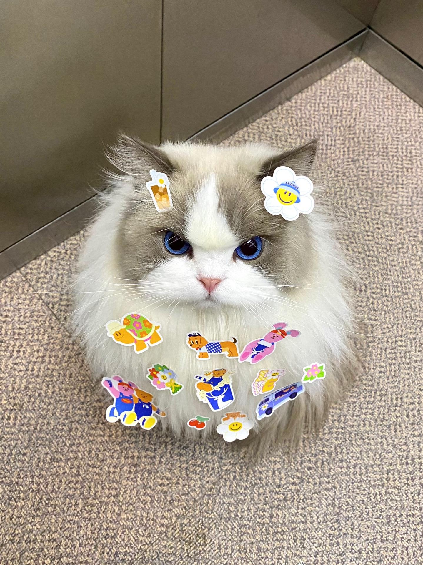 听话的宝宝会被奖励很多贴纸！奶米：好好好好好 你开心就好！