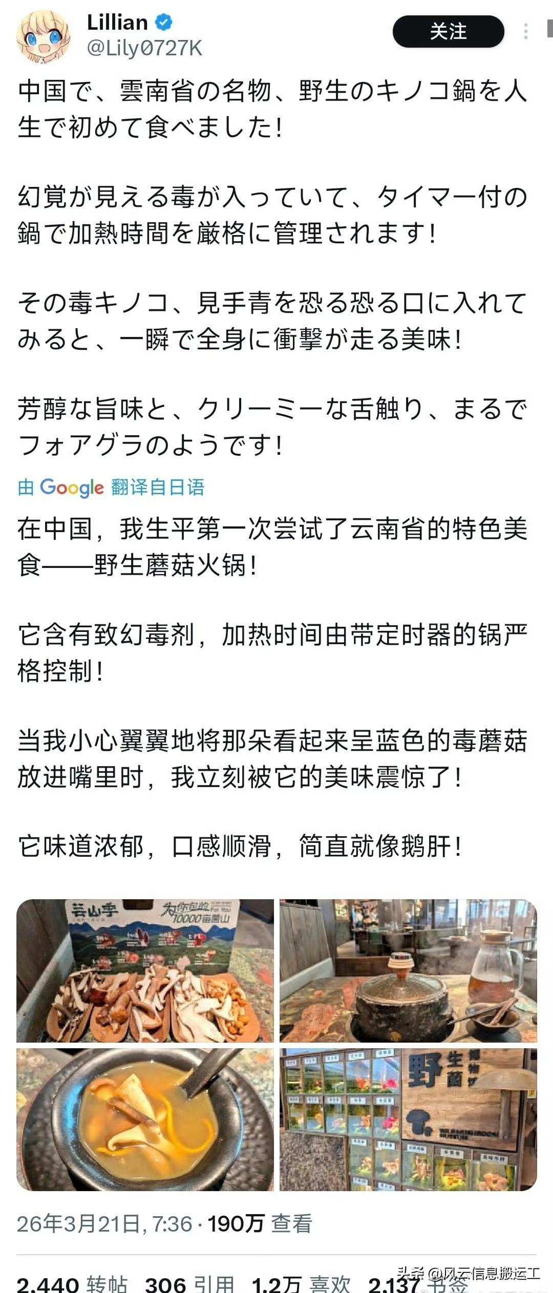 推特上日本网友表示在中国云南吃的野生菌火锅超级好吃堪比鹅肝，很多日本网友纷纷表示