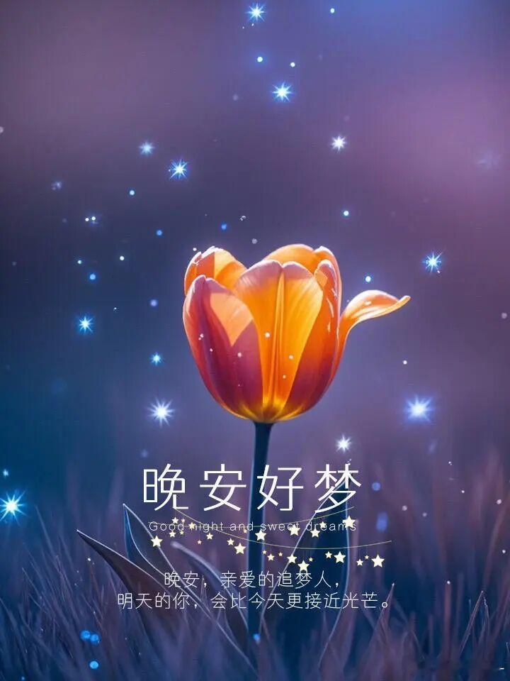 晚安保持一份开朗的心境，日子便会处处温暖。不求事事完美，只愿往后岁月，平安常伴，