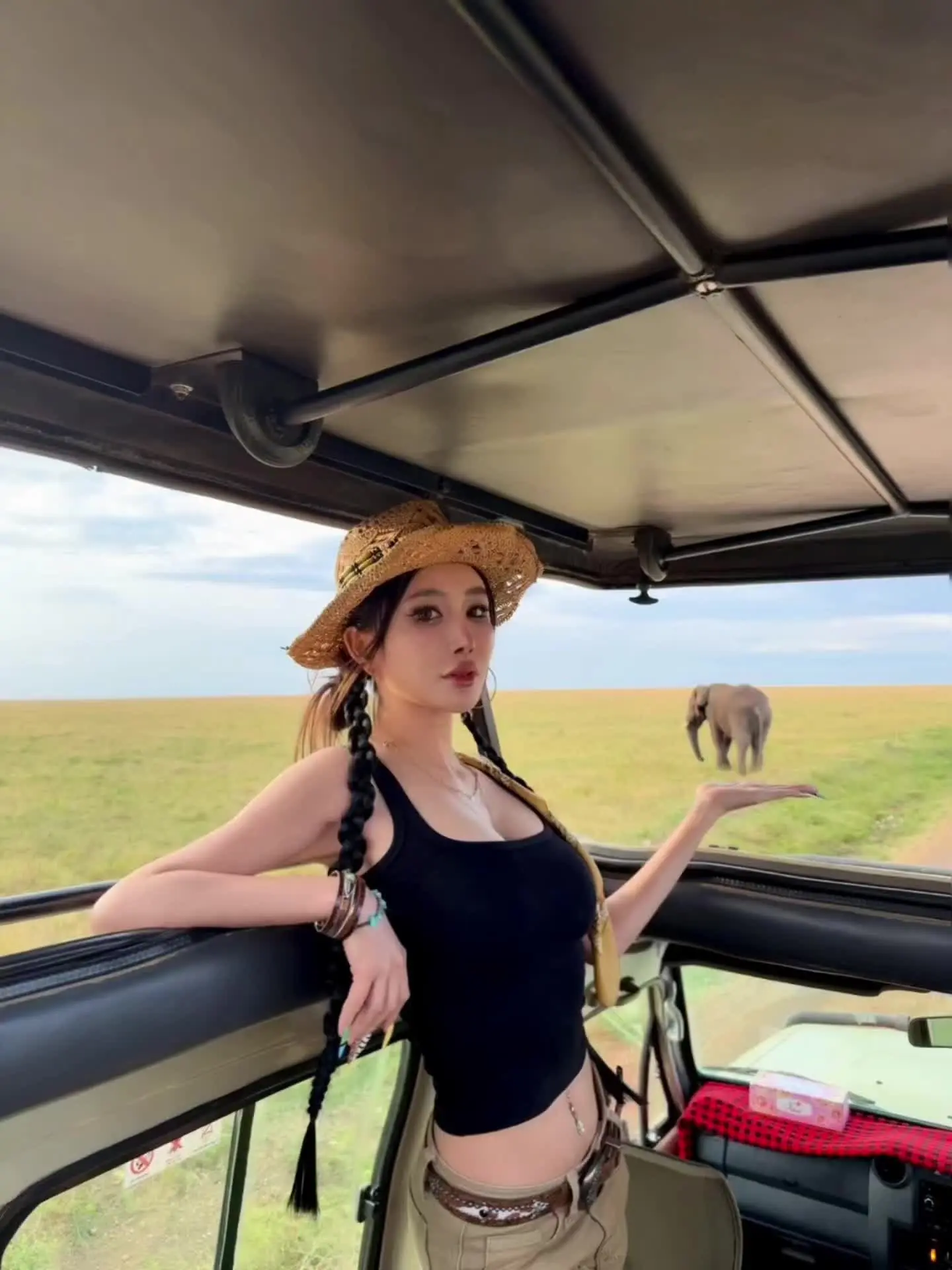 坦桑尼亚 东非 safari 塞伦盖蒂