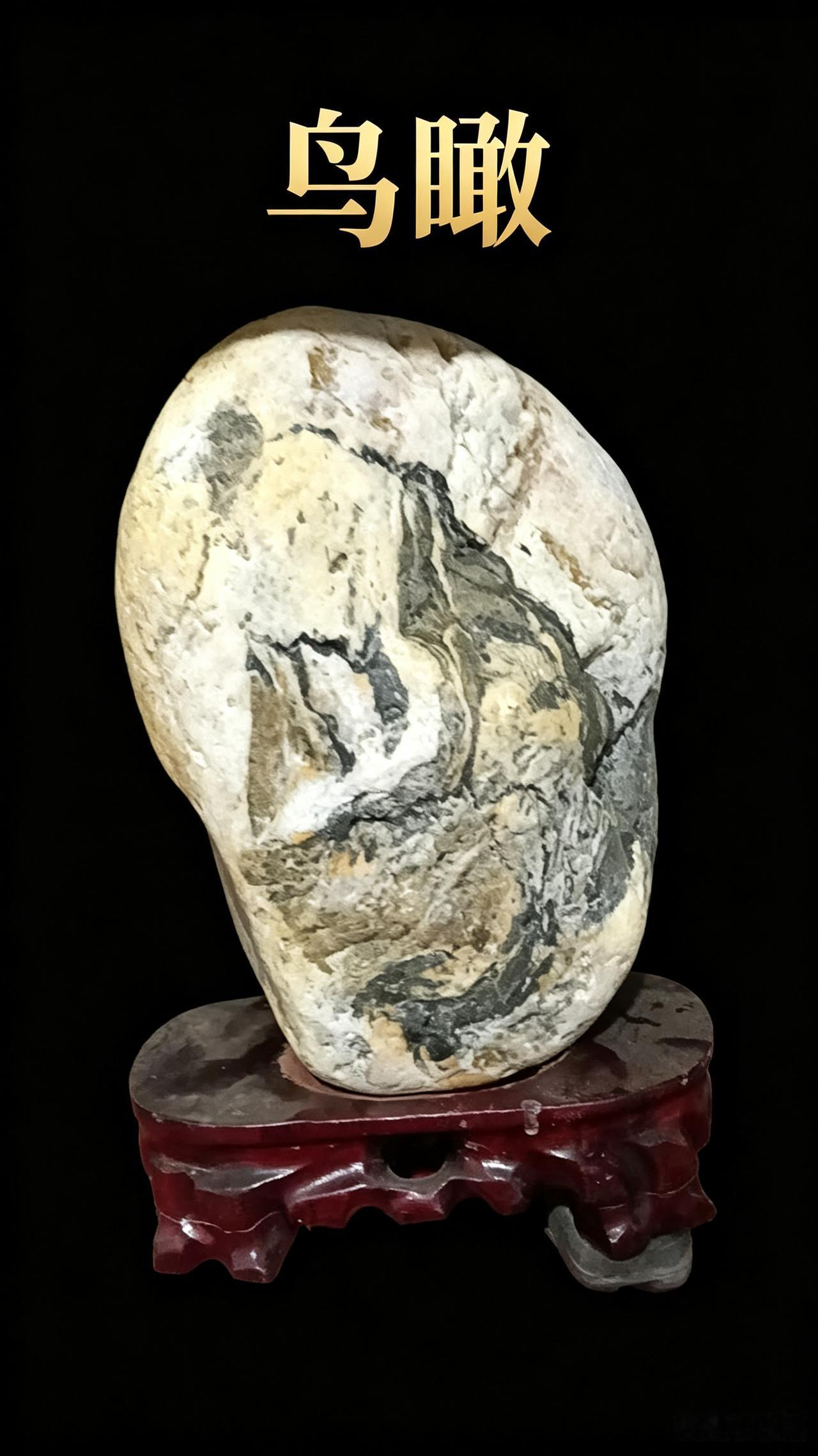 《鸟瞰》