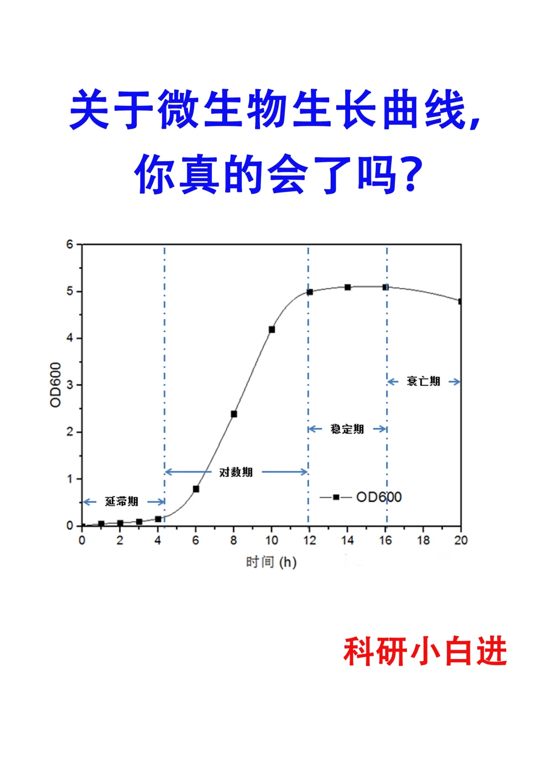 做了这么久的微生物，生长曲线你真的会了吗