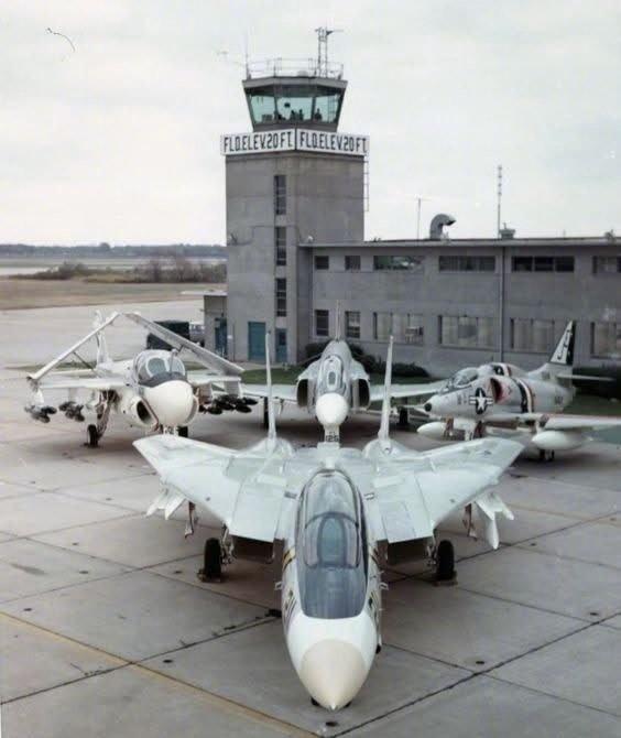 F-14当年绝对是美国海军一哥
不知道它看到如今的美国海军会咋想