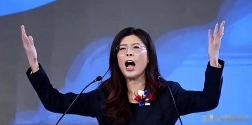 台湾蓝营终于摊牌了！郑丽文公开拒绝“一国两制”，不再模糊回避。这记重拳打向何方？