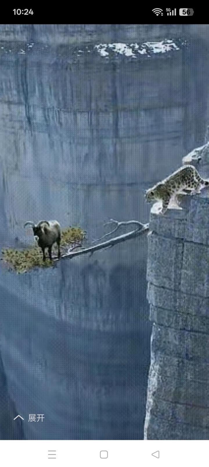 比特牛面对华北豹，世纪之问谁更危险？
这个世界，
唯有实力才能证明你的价值，钢铁