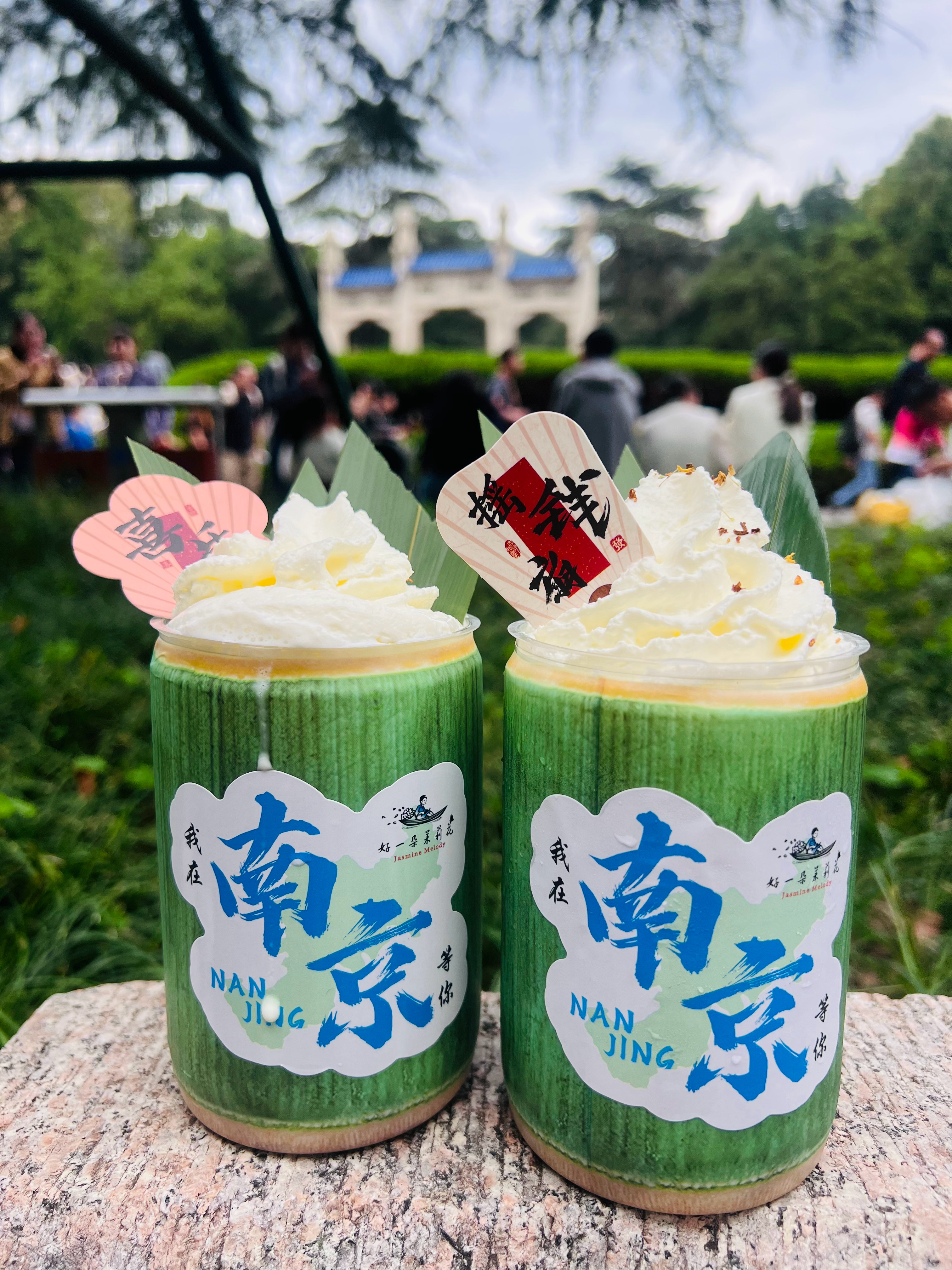 南京南京金陵城，是被文字偏爱的城。在作家笔下，南京从不是一座冰冷的城市，是烟雨朦