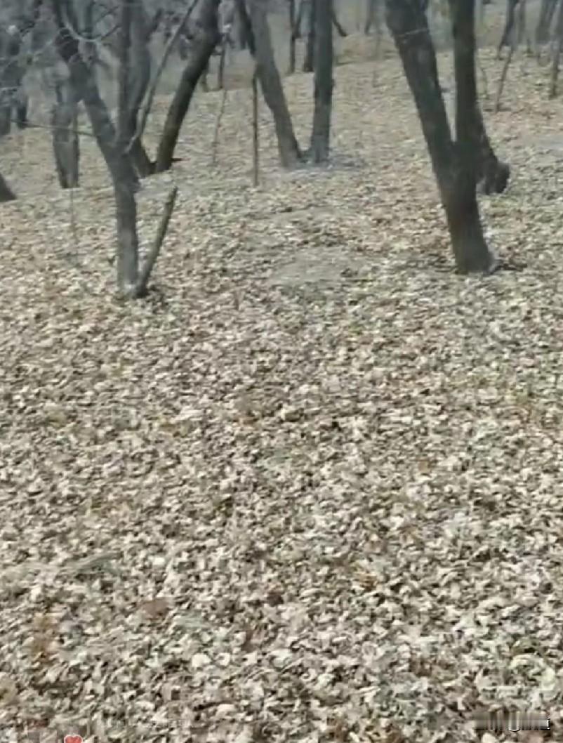 女子离异，处了个男朋友，在一起4，5年了。这个男的喝酒，一喝酒就骂人打人。
女子