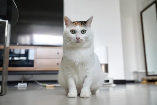 孩子稳重得可以进幼儿园了