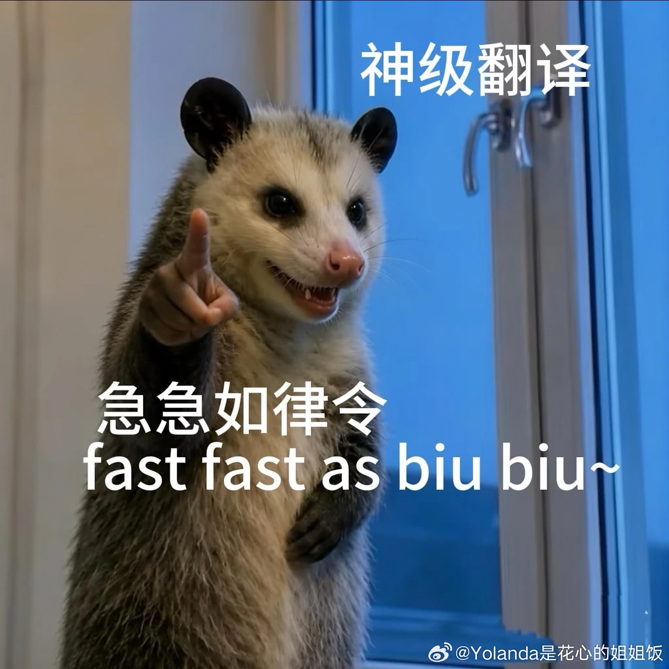 哈哈哈哈哈哈哈