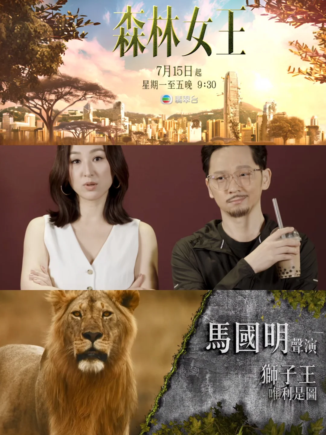TVB九点半档播动物版《新闻女王》🤣🤣🤣