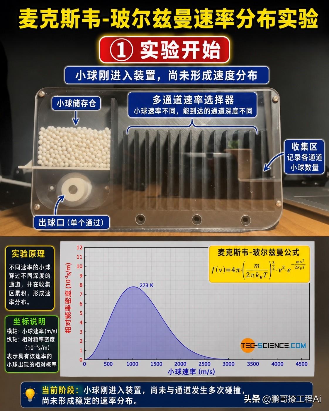 物理课本不会告诉你的人生真相，就藏在这个透明盒子里。

你看这个实验：数以千计的