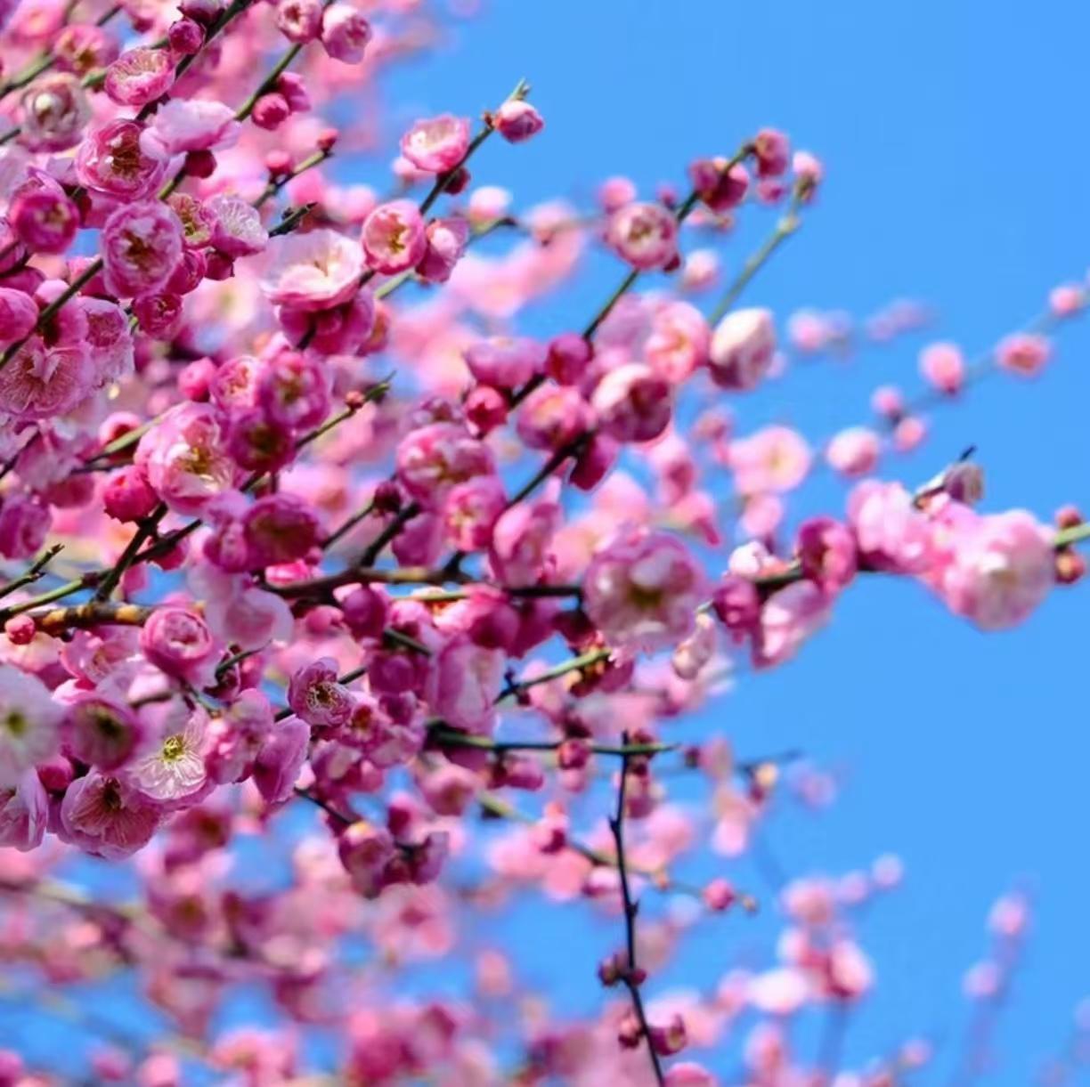 退休以后，还要不要和单位的人和事有联系？同事给了我一个答案。

老张办好退休手续