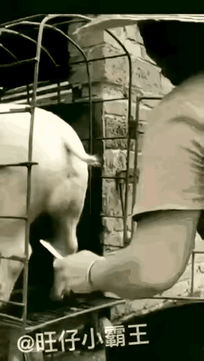两刀下去卸载QQ，为啥男人看到都会有种感同身受的痛呢？