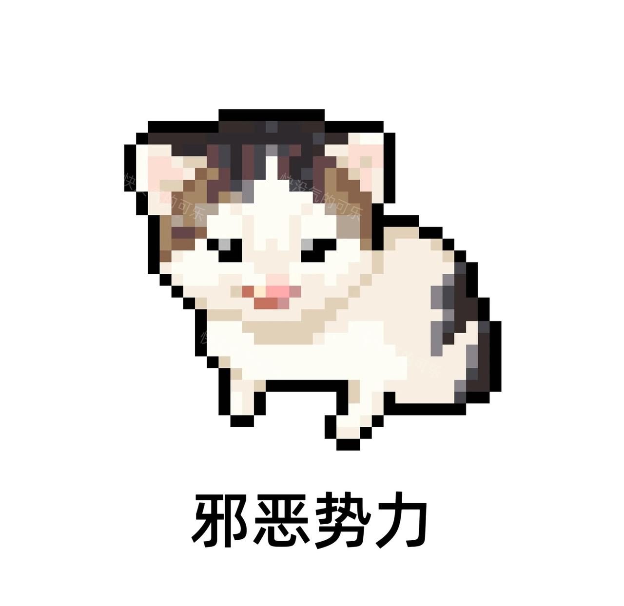 希特勒邪恶小猫
梗图 邪恶小猫 柏林之声 德语小猫