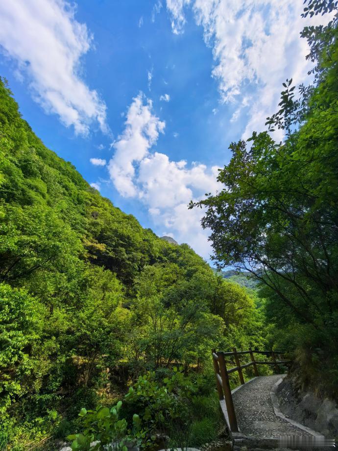 河南栾川的夏天永远不会让人失望盛夏来河南栾川感受自然凉意高温出逃好去处当属栾川，