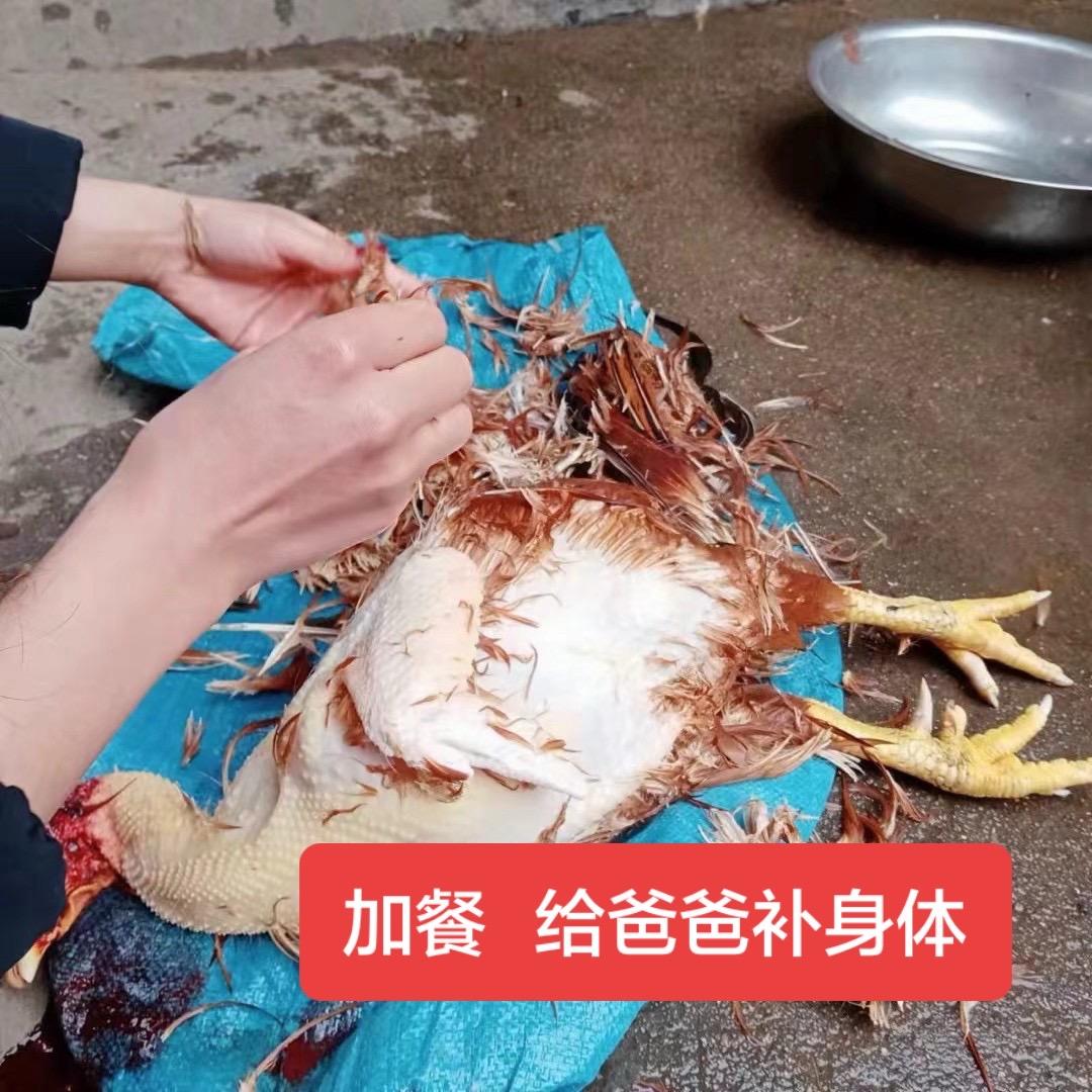 我也想做一个无忧无虑的人  可是生活不允许