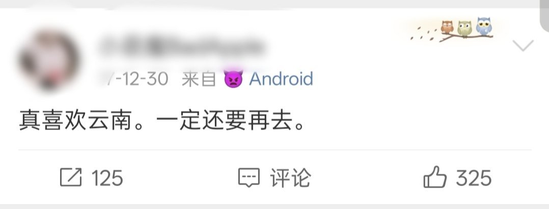 “他会养一大群蝴蝶🦋”花真美啊，想和你一起去看巍宝山我终于来了