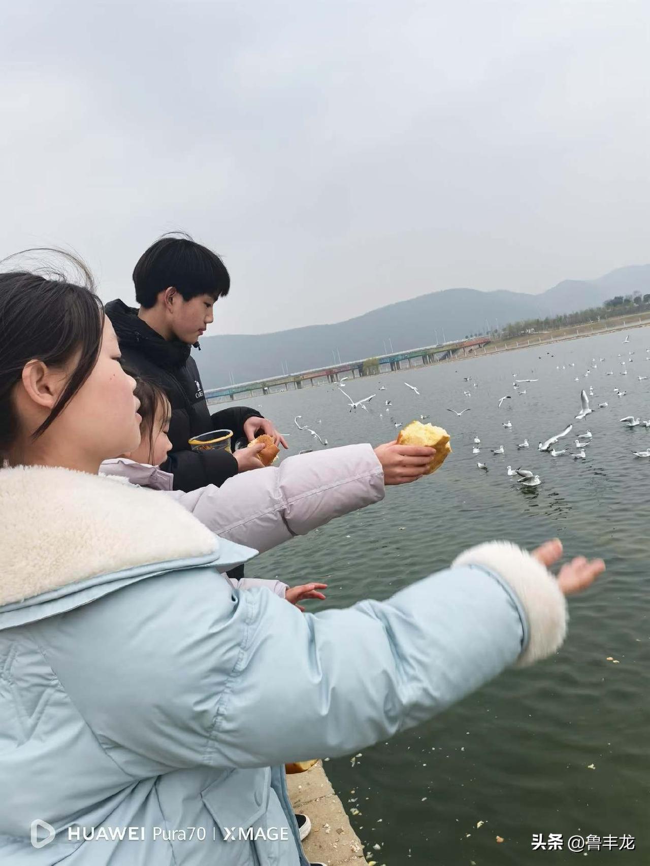 挣钱最终是为了“获得生活的底气和选择权”：
1. ​​安全感​​：应对风险、承担