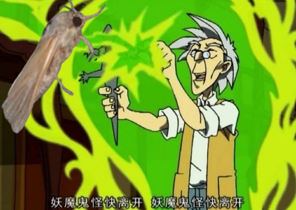 每天一条冷知识 草地贪夜蛾是全世界十大植物害虫之一。它之所以这么难防，是因为同时