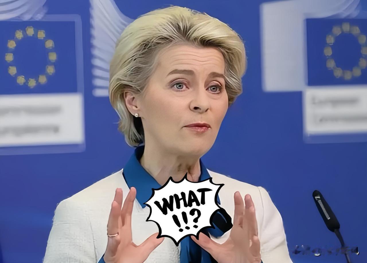 就在刚才，


             欧盟在世贸组织突然对外宣布！


  