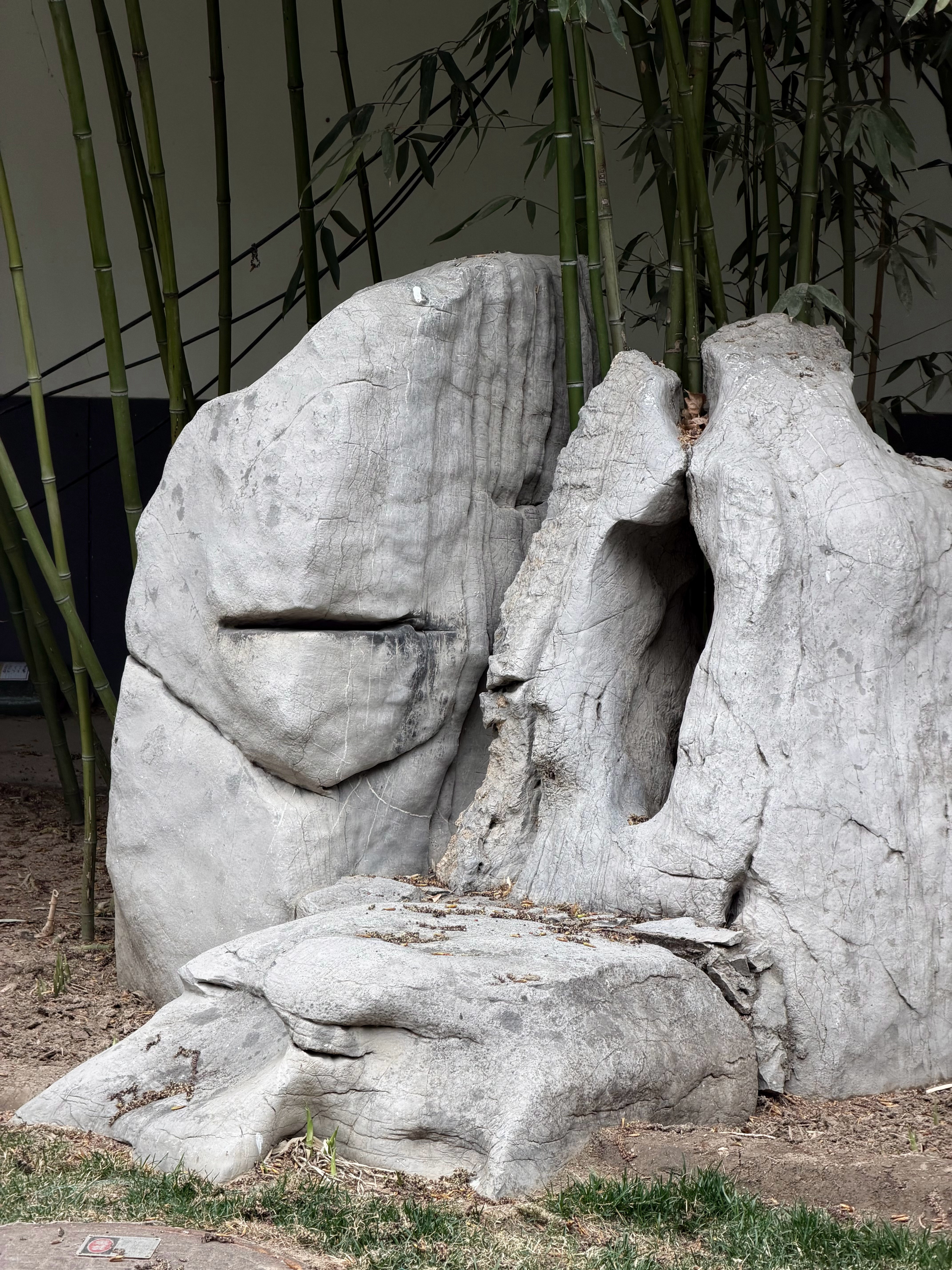 Kate Bush《Cloudbusting》 Cloudbusting 