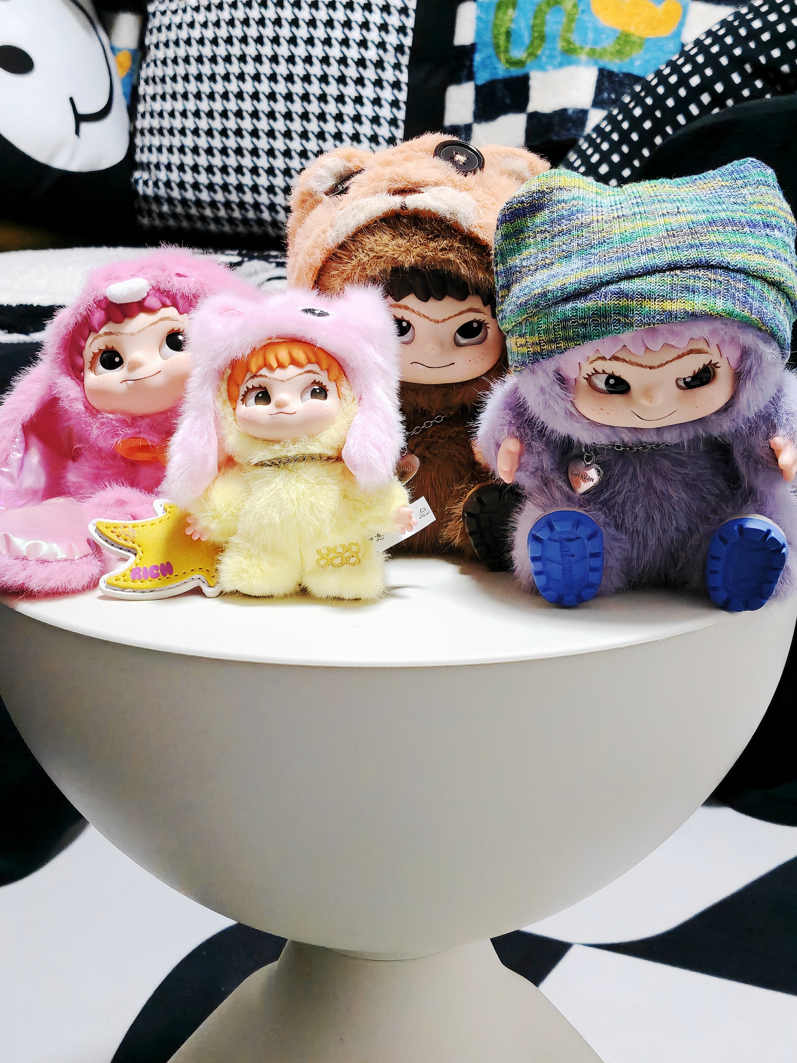 一天之内抱回来4个wakuku 