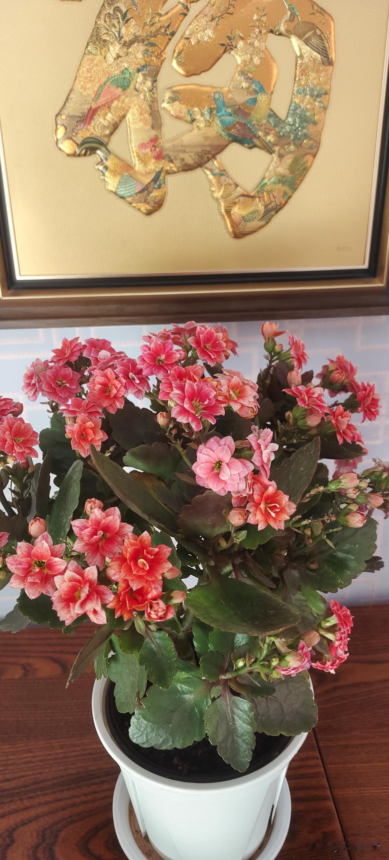 大a的开门红，如期而至。今天我的股票挣了888元，A股行情 A股疯涨 A股大牛市