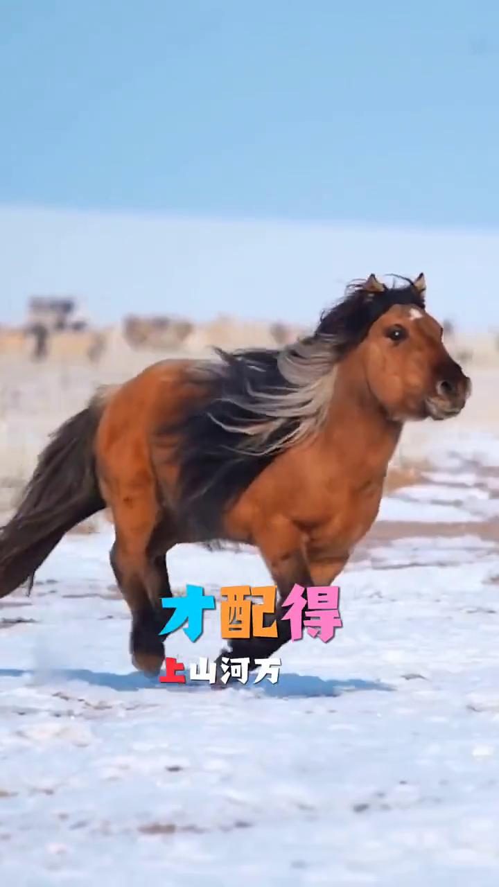 独行。
一个注定要干大事的人，注定要承受远超于常人的苦难与孤独。在低谷里默默自愈