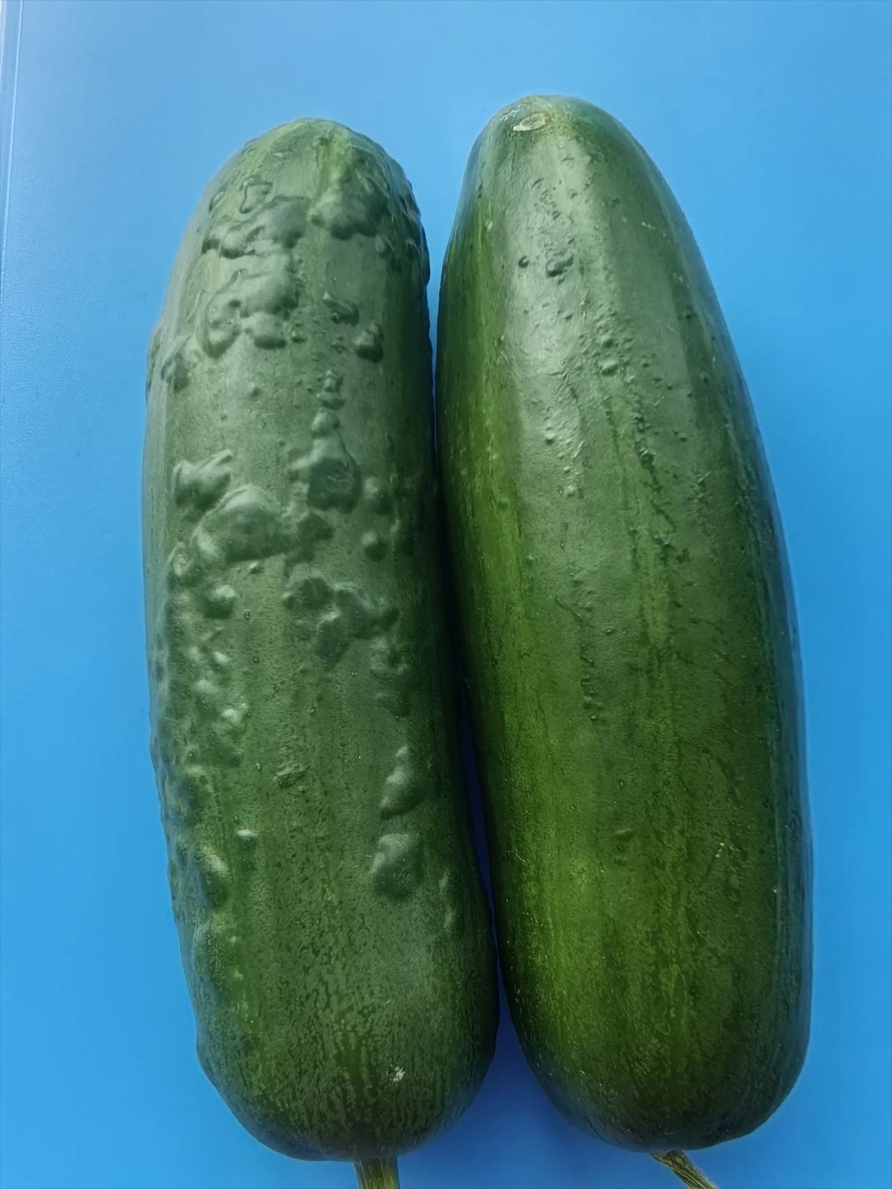 这样的黄瓜还敢吃么？

网购的黄瓜，直接放进冰箱里了，第三天就变的满身疙瘩了（左