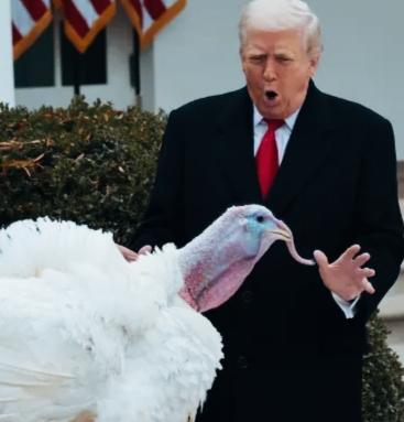 特朗普这表情挺有意思啊！
这是对火鸡有什么情绪呢？
是看着这么大的火鸡兴奋吗？