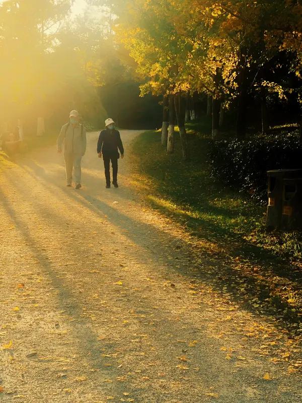 冬日暖阳

寒冬的幕布悄然落下，
世界被冰雪悄然绑架。
风，似冰冷的箭镞，
穿透